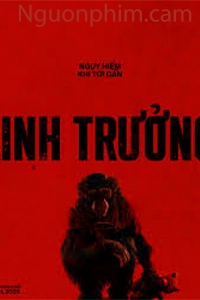 Linh Trưởng